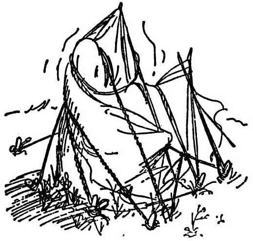 Иллюстрация к книге — Паддингтон путешествует [i_026.jpg]