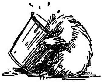 Иллюстрация к книге — Паддингтон путешествует [i_027.jpg]