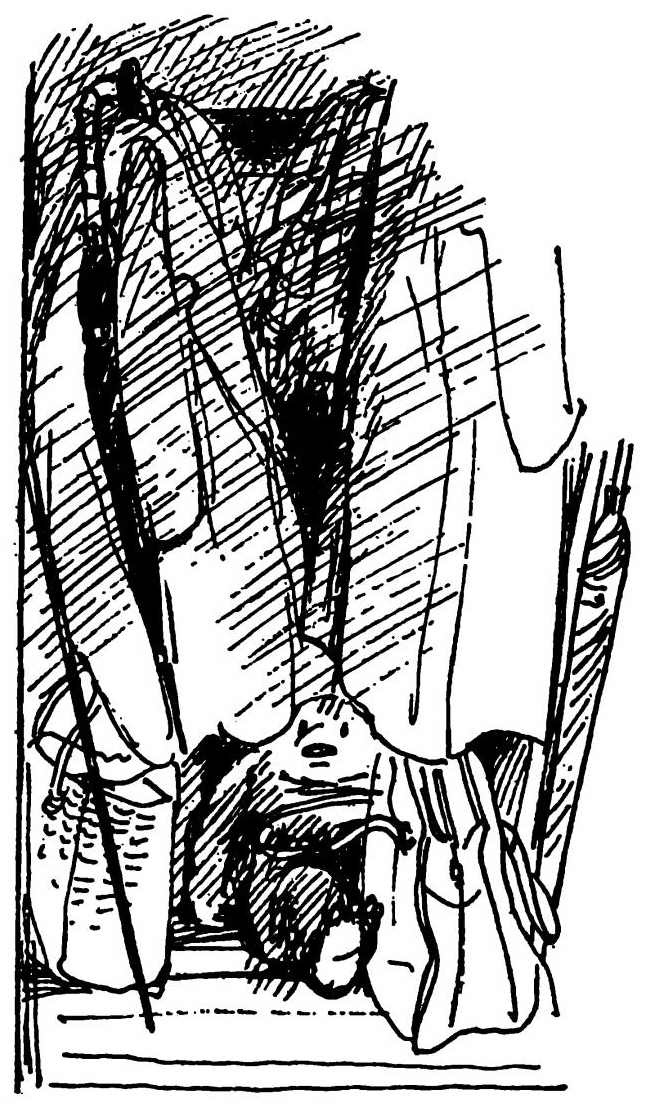 Иллюстрация к книге — Паддингтон путешествует [i_059.jpg]