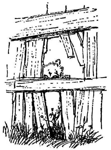 Иллюстрация к книге — Паддингтон путешествует [i_063.jpg]