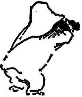 Иллюстрация к книге — Паддингтон путешествует [i_077.jpg]