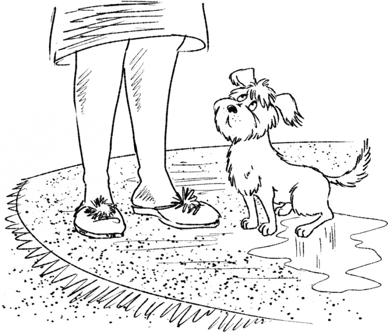 Иллюстрация к книге — Приключения Пуха на Земле и в Космосе [i_005.jpg]