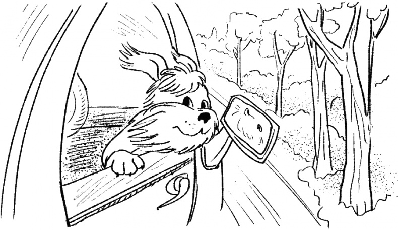 Иллюстрация к книге — Приключения Пуха на Земле и в Космосе [i_012.jpg]