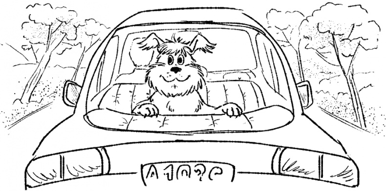 Иллюстрация к книге — Приключения Пуха на Земле и в Космосе [i_013.jpg]