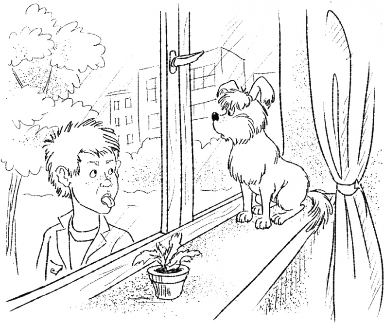 Иллюстрация к книге — Приключения Пуха на Земле и в Космосе [i_018.jpg]