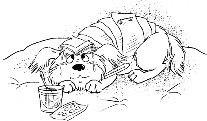 Иллюстрация к книге — Приключения Пуха на Земле и в Космосе [i_019.jpg]