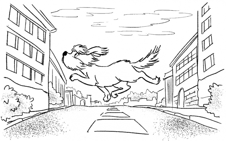 Иллюстрация к книге — Приключения Пуха на Земле и в Космосе [i_028.jpg]