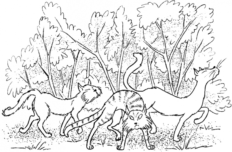 Иллюстрация к книге — Приключения Пуха на Земле и в Космосе [i_040.jpg]