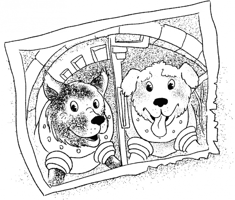 Иллюстрация к книге — Приключения Пуха на Земле и в Космосе [i_049.jpg]