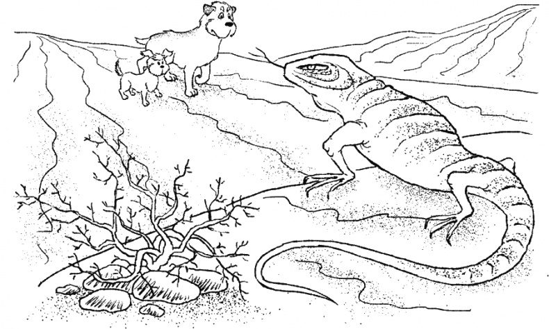 Иллюстрация к книге — Приключения Пуха на Земле и в Космосе [i_062.jpg]