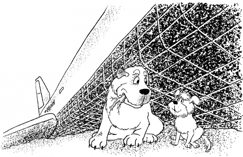 Иллюстрация к книге — Приключения Пуха на Земле и в Космосе [i_066.jpg]