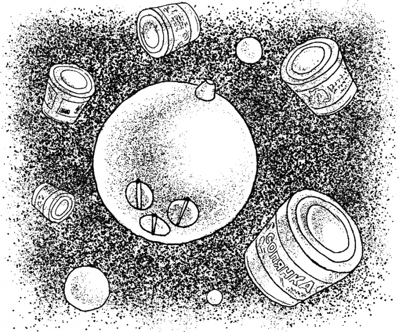 Иллюстрация к книге — Приключения Пуха на Земле и в Космосе [i_075.jpg]