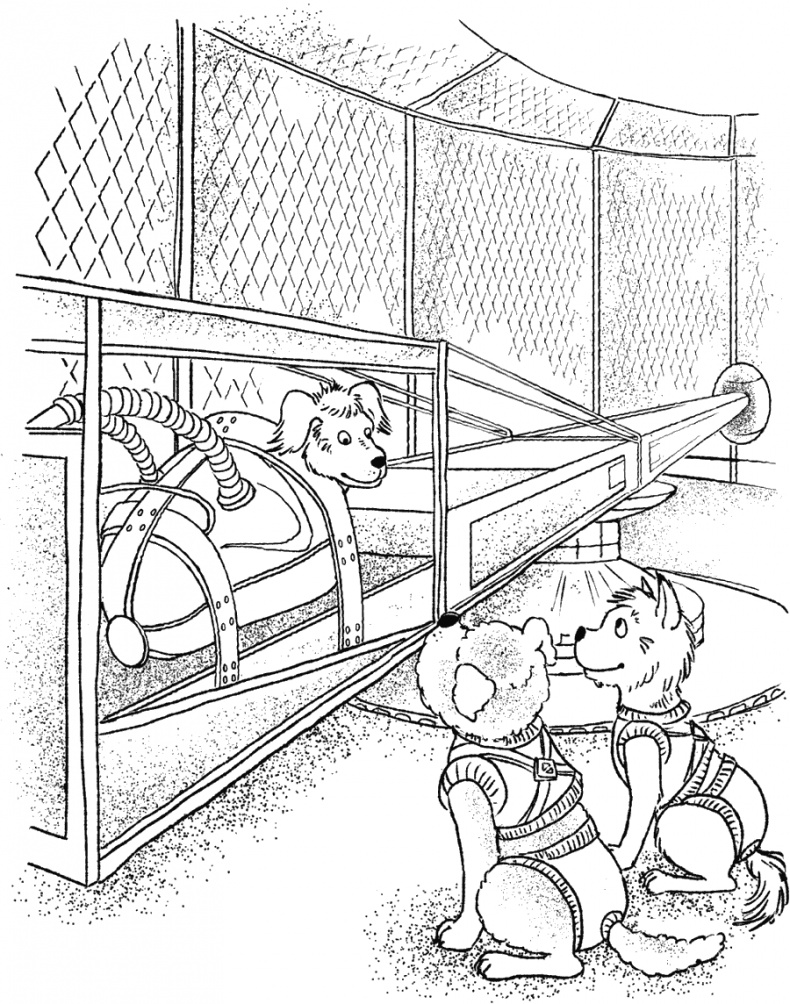 Иллюстрация к книге — Приключения Пуха на Земле и в Космосе [i_079.jpg]