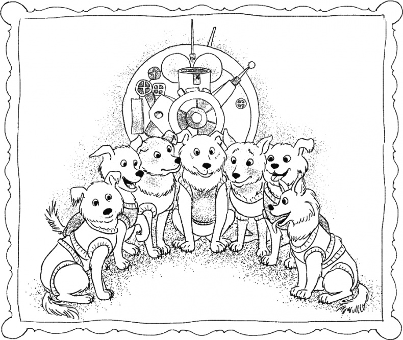 Иллюстрация к книге — Приключения Пуха на Земле и в Космосе [i_080.jpg]