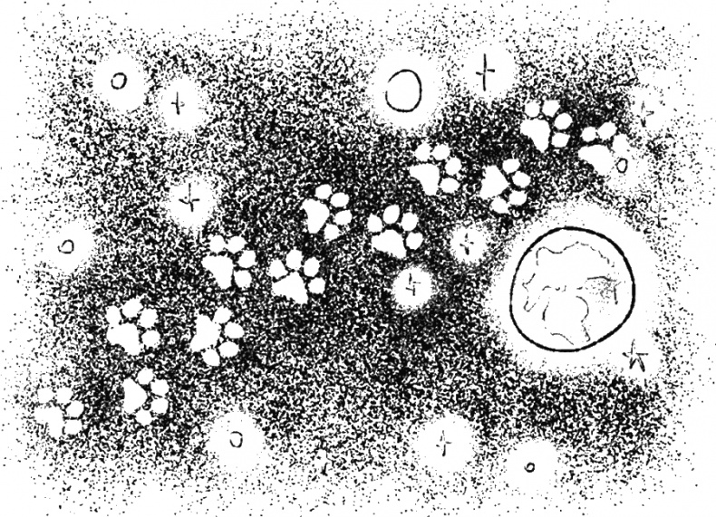 Иллюстрация к книге — Приключения Пуха на Земле и в Космосе [i_086.jpg]