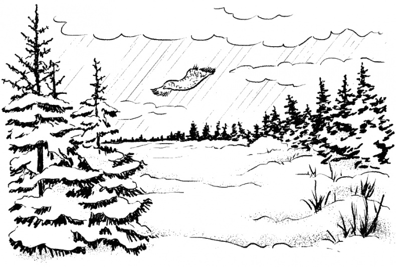 Иллюстрация к книге — Приключения Пуха на Земле и в Космосе [i_103.jpg]