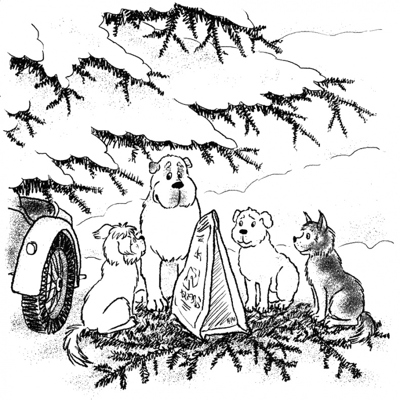 Иллюстрация к книге — Приключения Пуха на Земле и в Космосе [i_104.jpg]