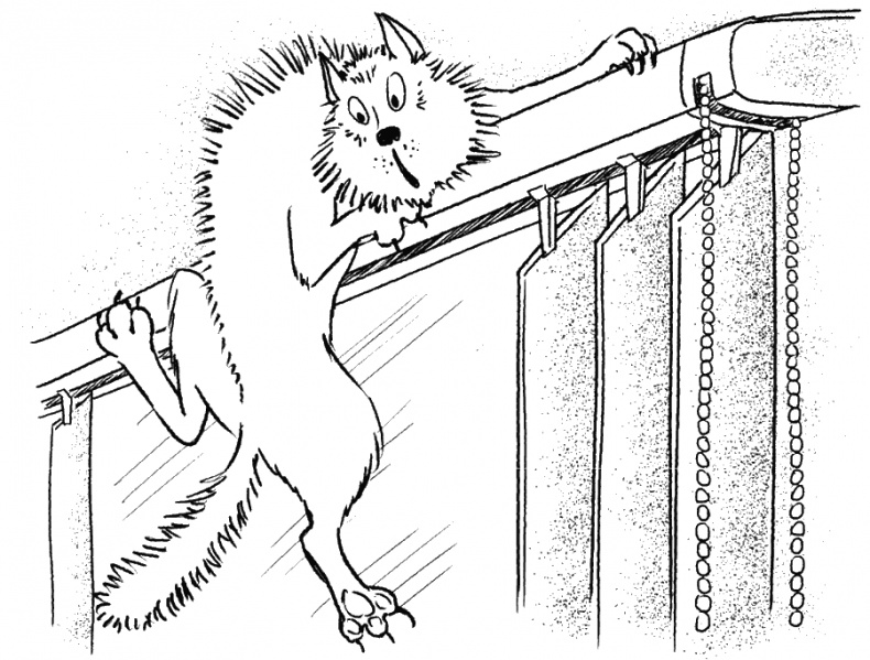 Иллюстрация к книге — Приключения Пуха на Земле и в Космосе [i_109.jpg]