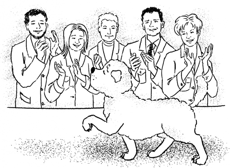 Иллюстрация к книге — Приключения Пуха на Земле и в Космосе [i_112.jpg]