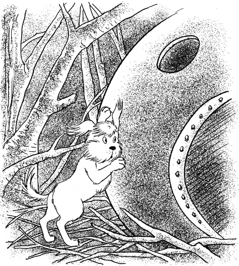 Иллюстрация к книге — Приключения Пуха на Земле и в Космосе [i_115.jpg]