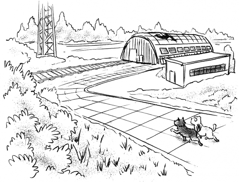 Иллюстрация к книге — Приключения Пуха на Земле и в Космосе [i_120.jpg]