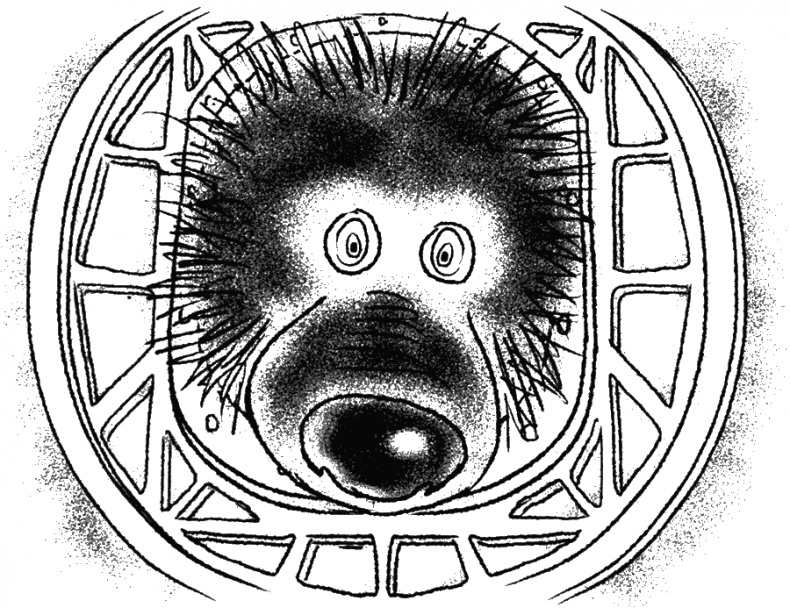 Иллюстрация к книге — Приключения Пуха на Земле и в Космосе [i_131.jpg]