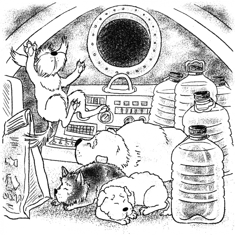 Иллюстрация к книге — Приключения Пуха на Земле и в Космосе [i_132.jpg]