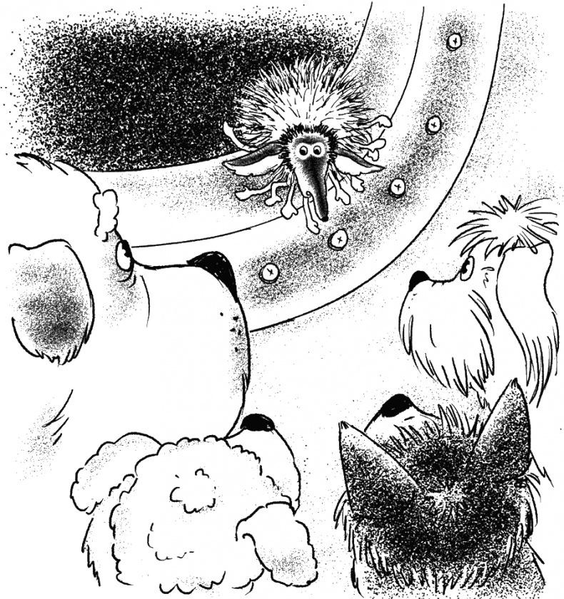 Иллюстрация к книге — Приключения Пуха на Земле и в Космосе [i_133.jpg]