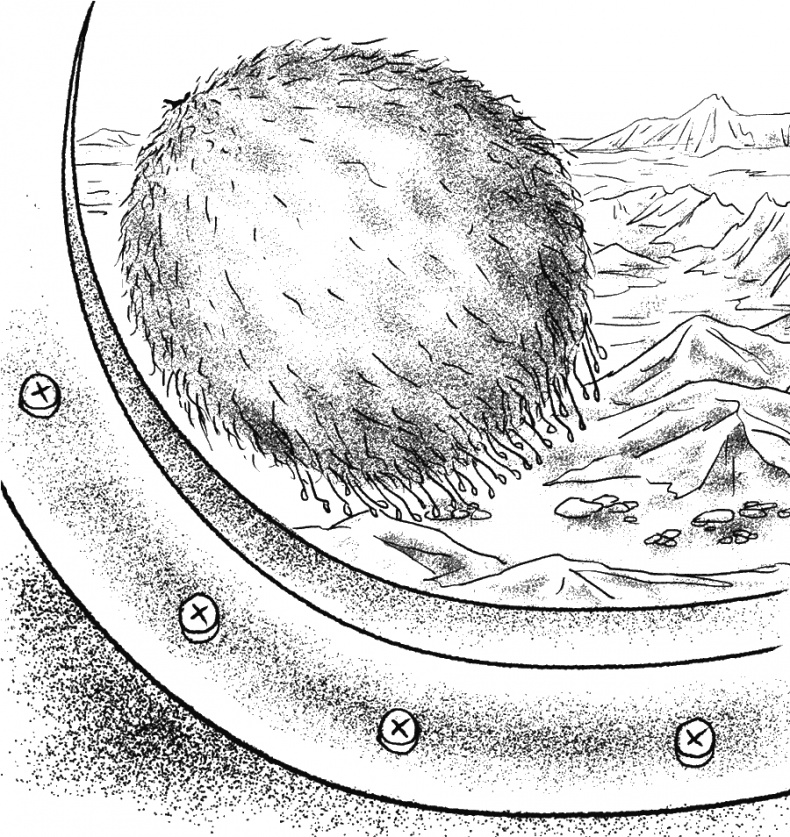 Иллюстрация к книге — Приключения Пуха на Земле и в Космосе [i_135.jpg]