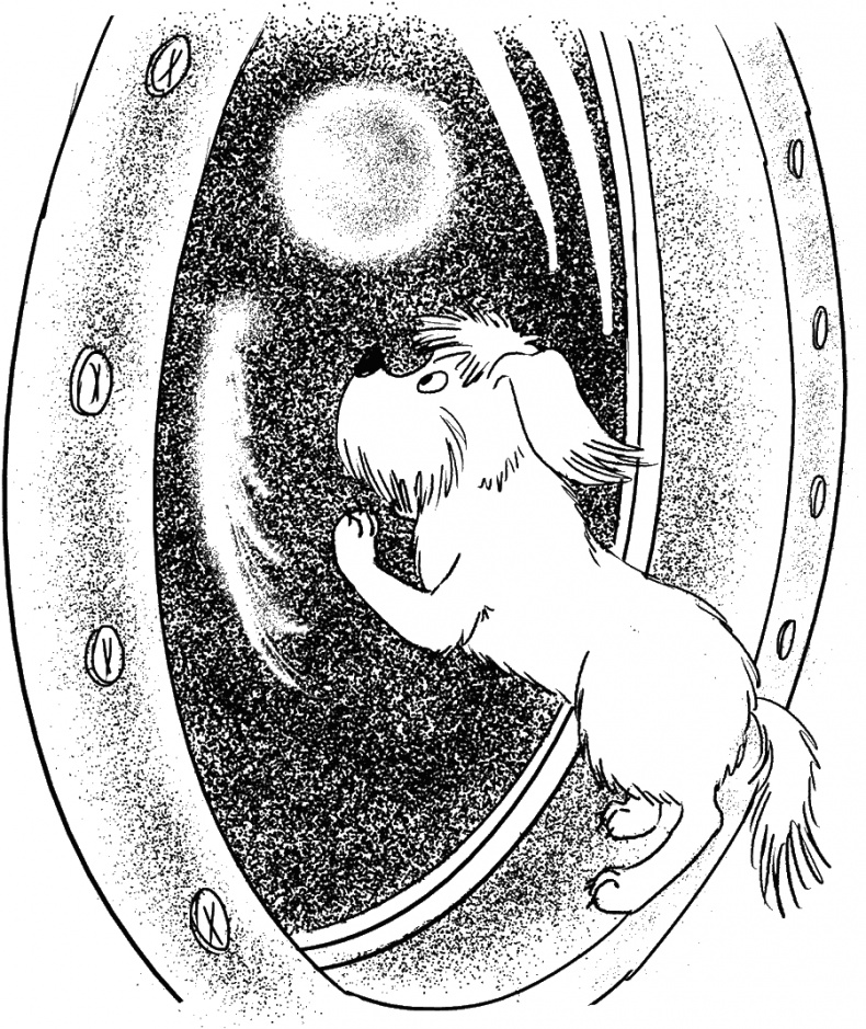 Иллюстрация к книге — Приключения Пуха на Земле и в Космосе [i_143.jpg]