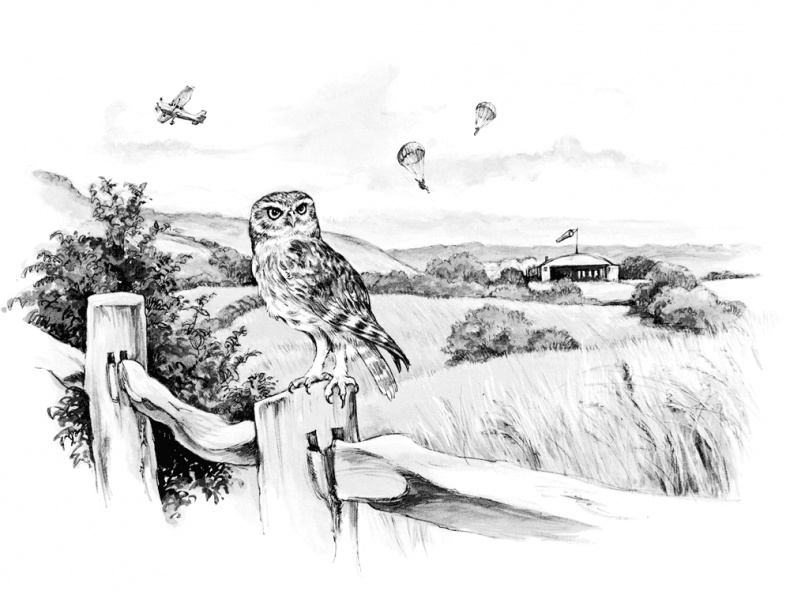 Иллюстрация к книге — Сова, которой нравилось сидеть на Цезаре [i_001.jpg]