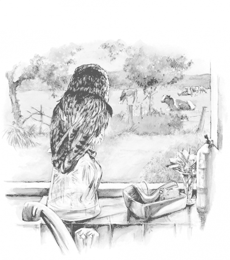 Иллюстрация к книге — Сова, которой нравилось сидеть на Цезаре [i_008.jpg]