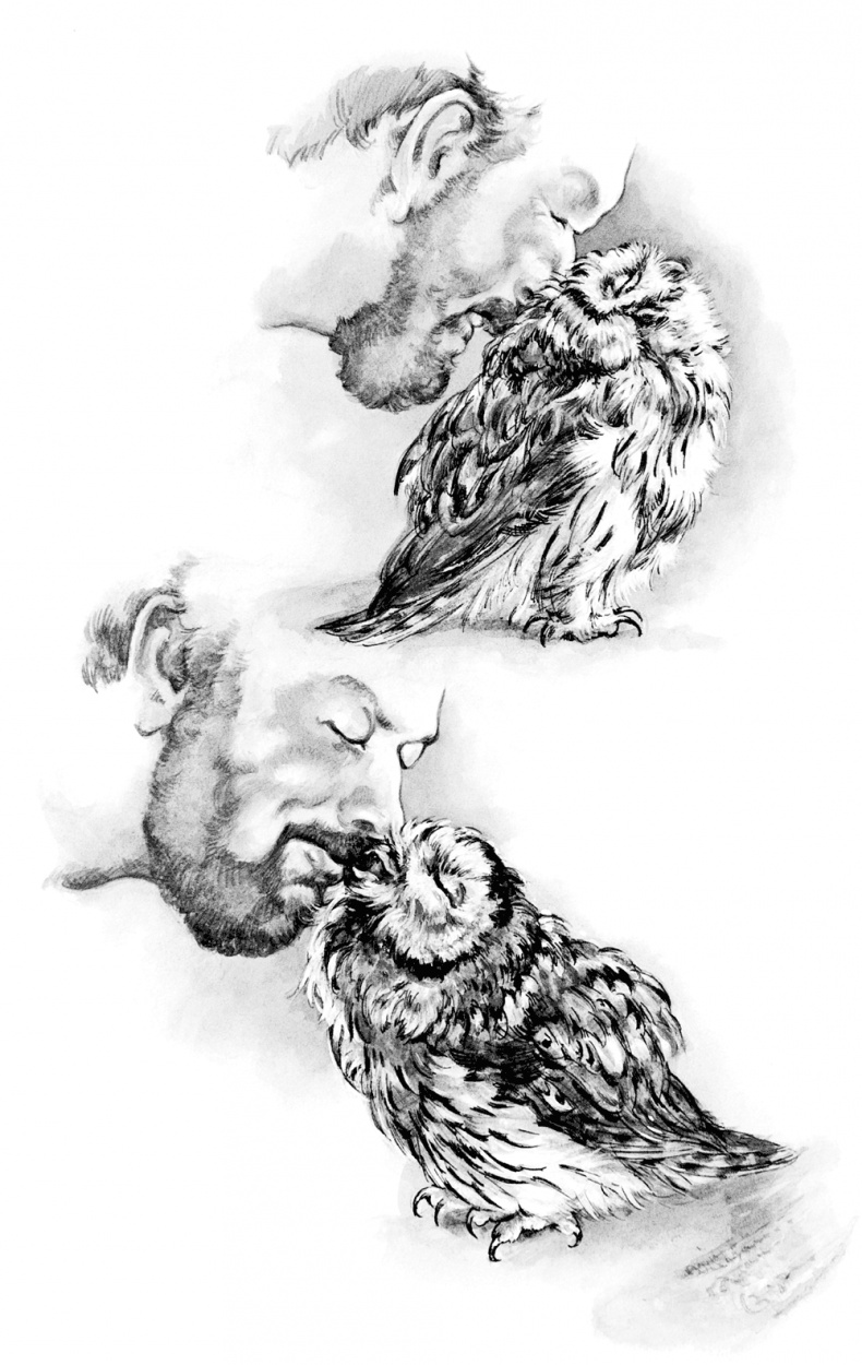 Иллюстрация к книге — Сова, которой нравилось сидеть на Цезаре [i_010.jpg]