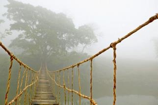 Иллюстрация к книге — Иного не желаю [i_009.jpg]