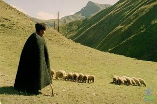 Иллюстрация к книге — Иного не желаю [i_013.jpg]