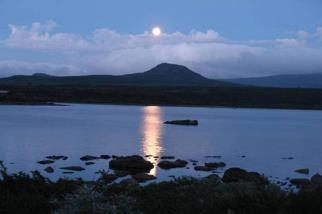 Иллюстрация к книге — Иного не желаю [i_015.jpg]