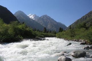 Иллюстрация к книге — Иного не желаю [i_021.jpg]