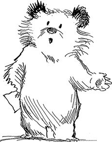 Иллюстрация к книге — Медвежонок Паддингтон. С любовью [i_003.jpg]