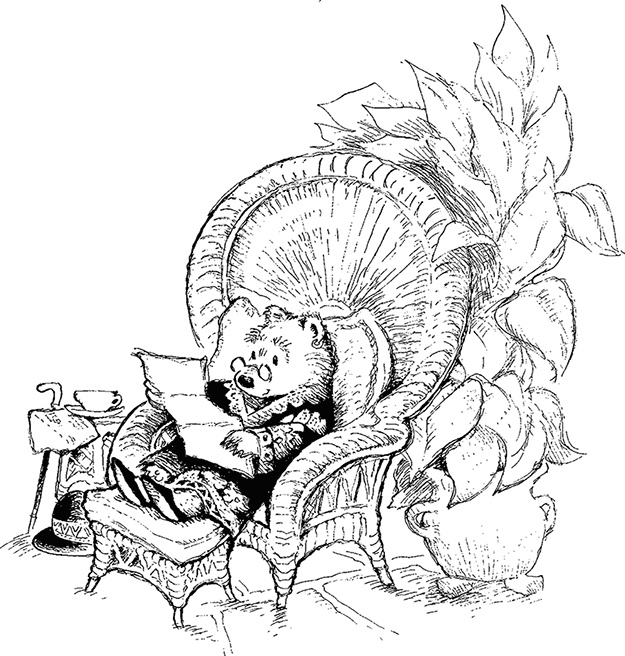 Иллюстрация к книге — Медвежонок Паддингтон. С любовью [i_005.jpg]