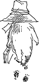 Иллюстрация к книге — Медвежонок Паддингтон. С любовью [i_009.jpg]