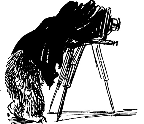 Иллюстрация к книге — Медвежонок Паддингтон. С любовью [i_012.jpg]