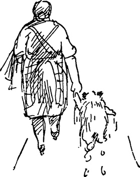 Иллюстрация к книге — Медвежонок Паддингтон. С любовью [i_015.jpg]