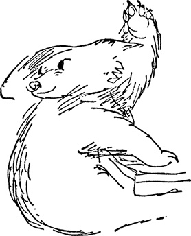 Иллюстрация к книге — Медвежонок Паддингтон. С любовью [i_020.jpg]