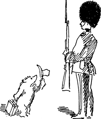 Иллюстрация к книге — Медвежонок Паддингтон. С любовью [i_024.jpg]