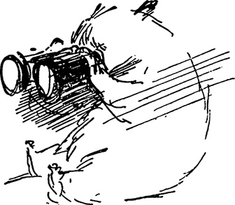 Иллюстрация к книге — Медвежонок Паддингтон. С любовью [i_039.jpg]