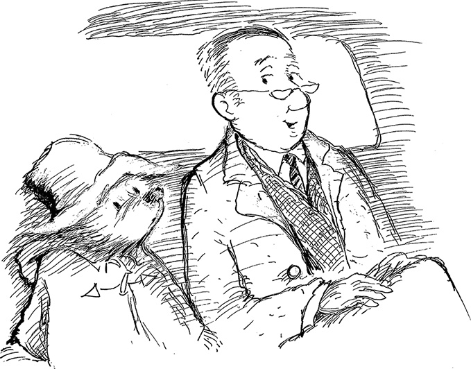 Иллюстрация к книге — Медвежонок Паддингтон. С любовью [i_049.jpg]