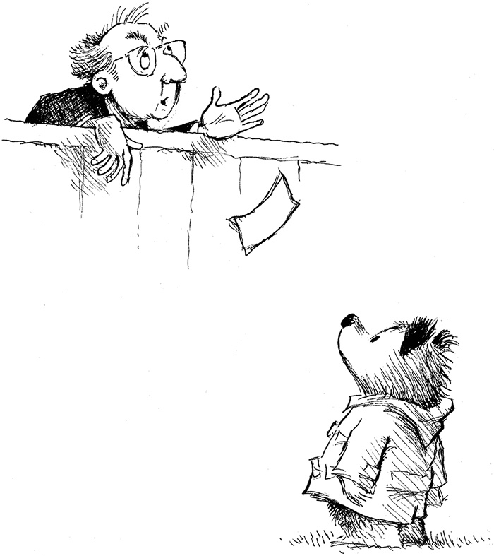 Иллюстрация к книге — Медвежонок Паддингтон – чемпион [i_002.jpg]