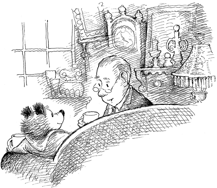 Иллюстрация к книге — Медвежонок Паддингтон – чемпион [i_006.jpg]