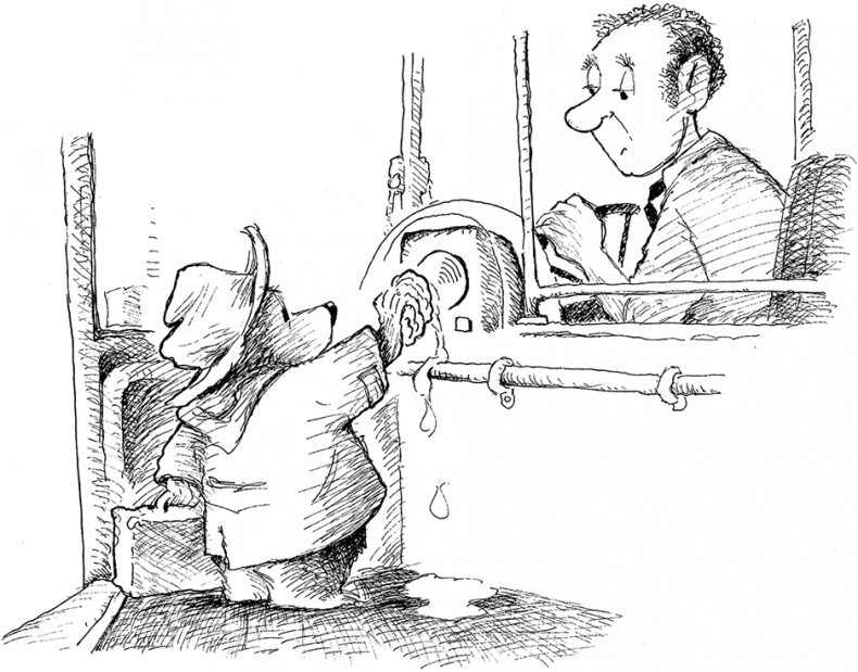 Иллюстрация к книге — Медвежонок Паддингтон – чемпион [i_010.jpg]