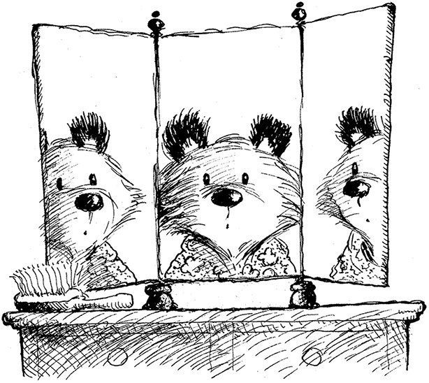 Иллюстрация к книге — Медвежонок Паддингтон – чемпион [i_013.jpg]